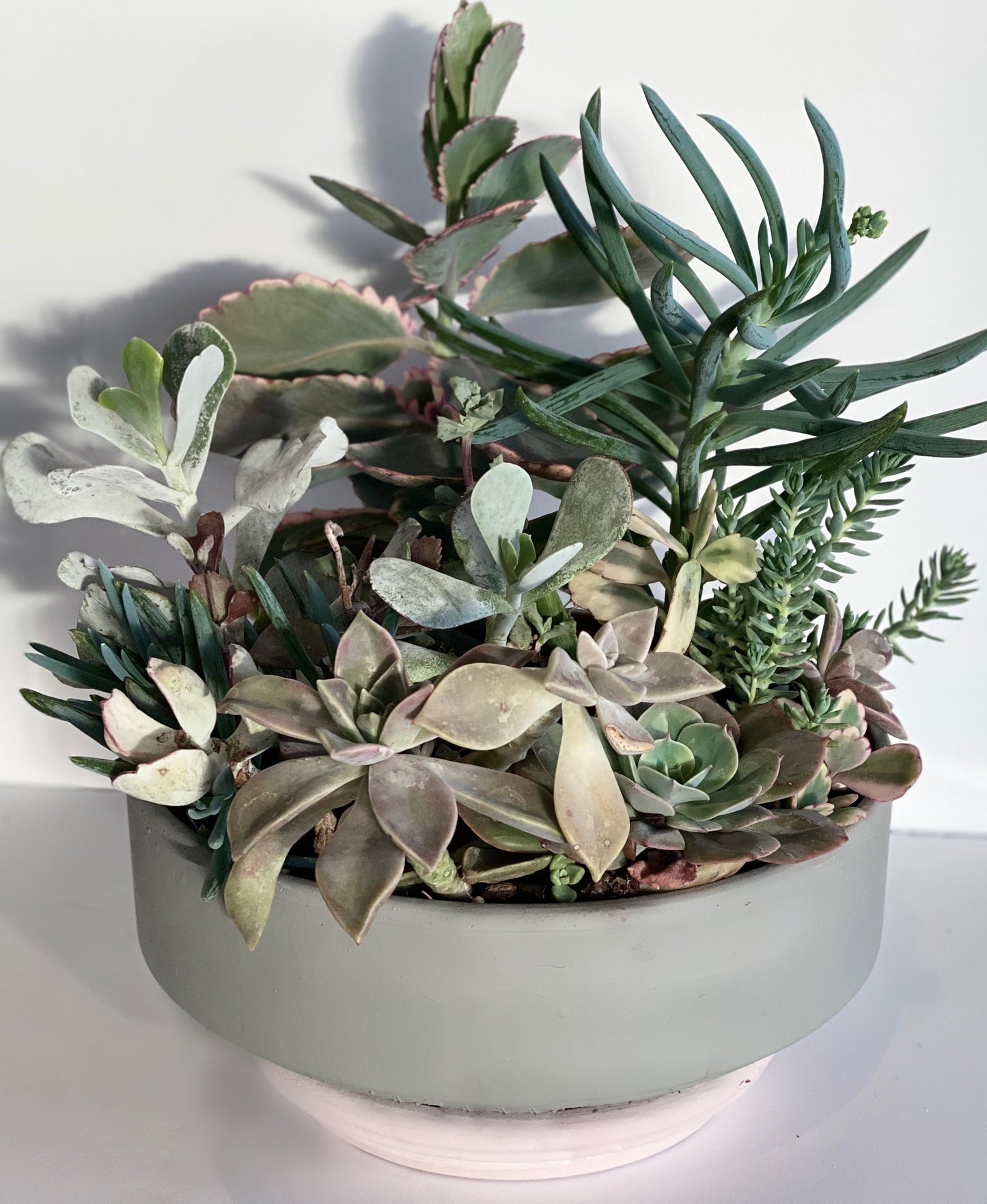 the signature series - Always Greener