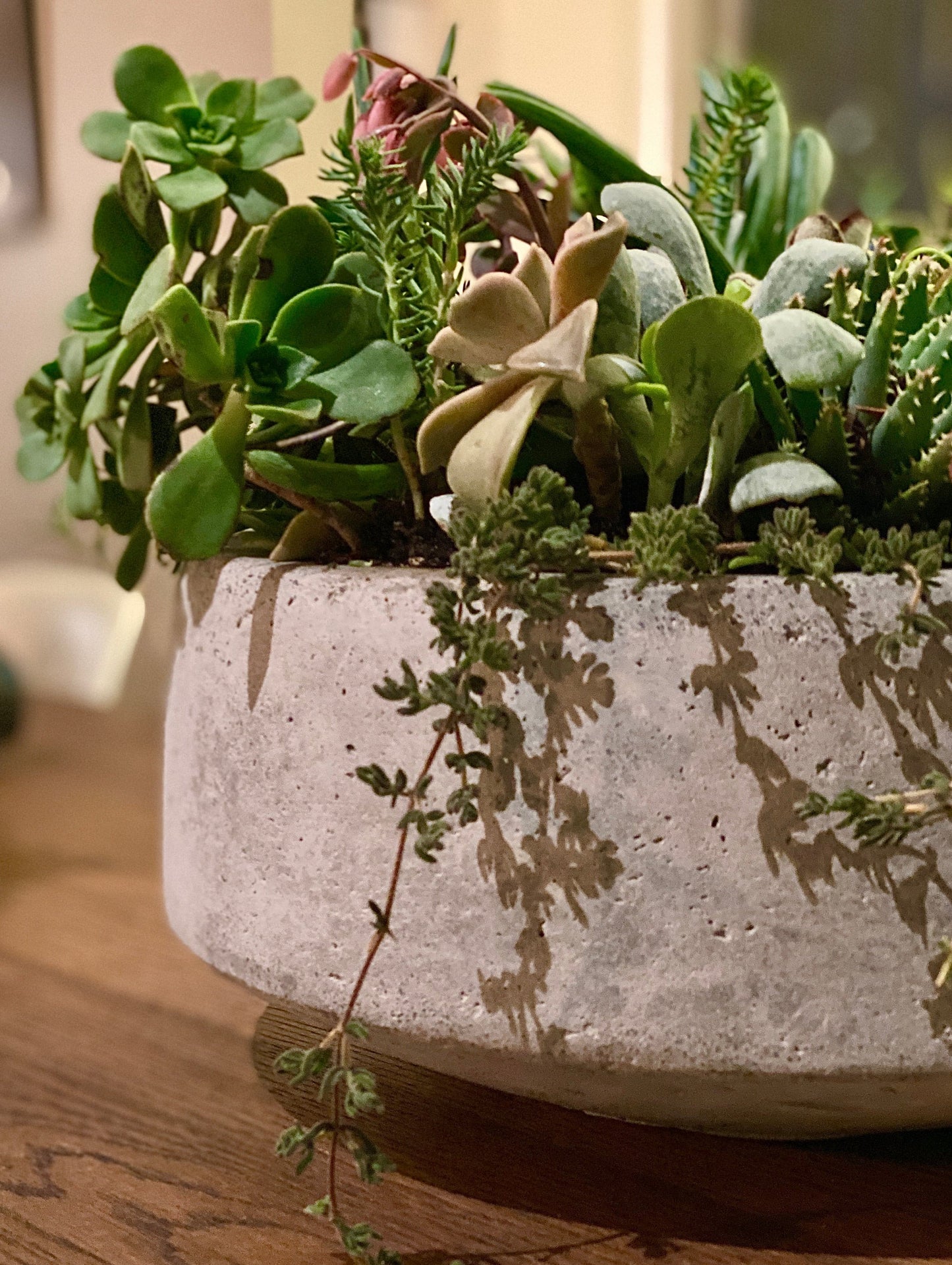 one in a melon - Always Greener