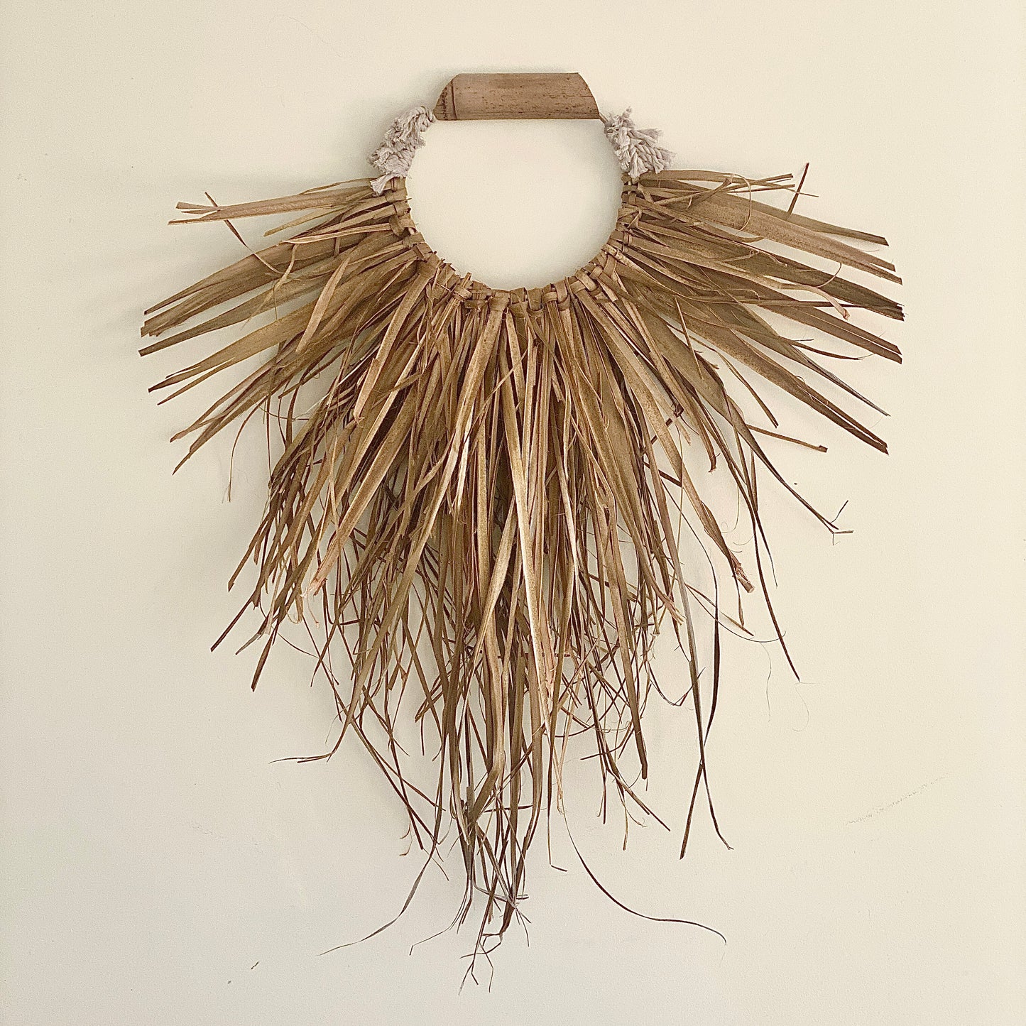 Palm Sunrise Wall Art - Le Botanist