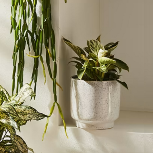 Blue speckled ceramic pot