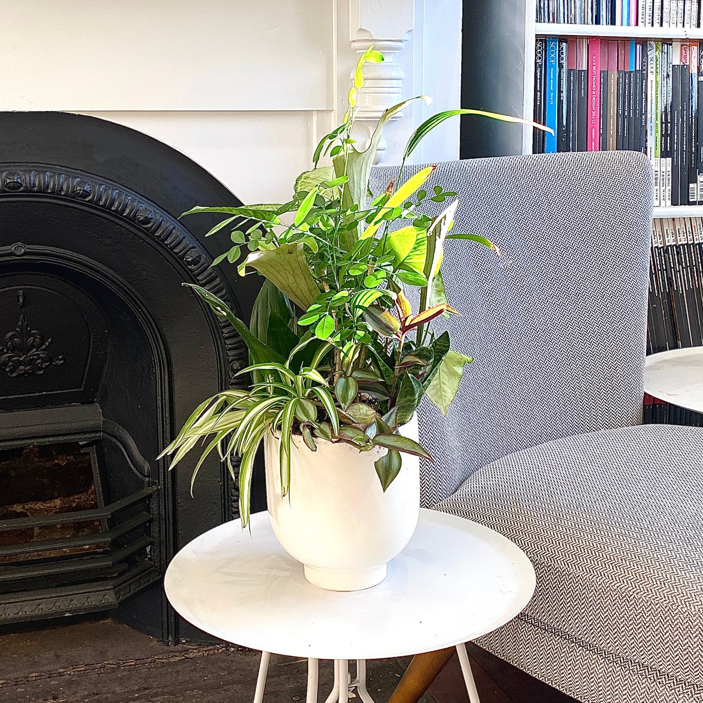 The Cluster - Indoor Greenery Arrangement - Le Botanist