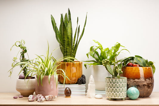 Pairing Crystals and Plants To Enhance Their Positive Energies