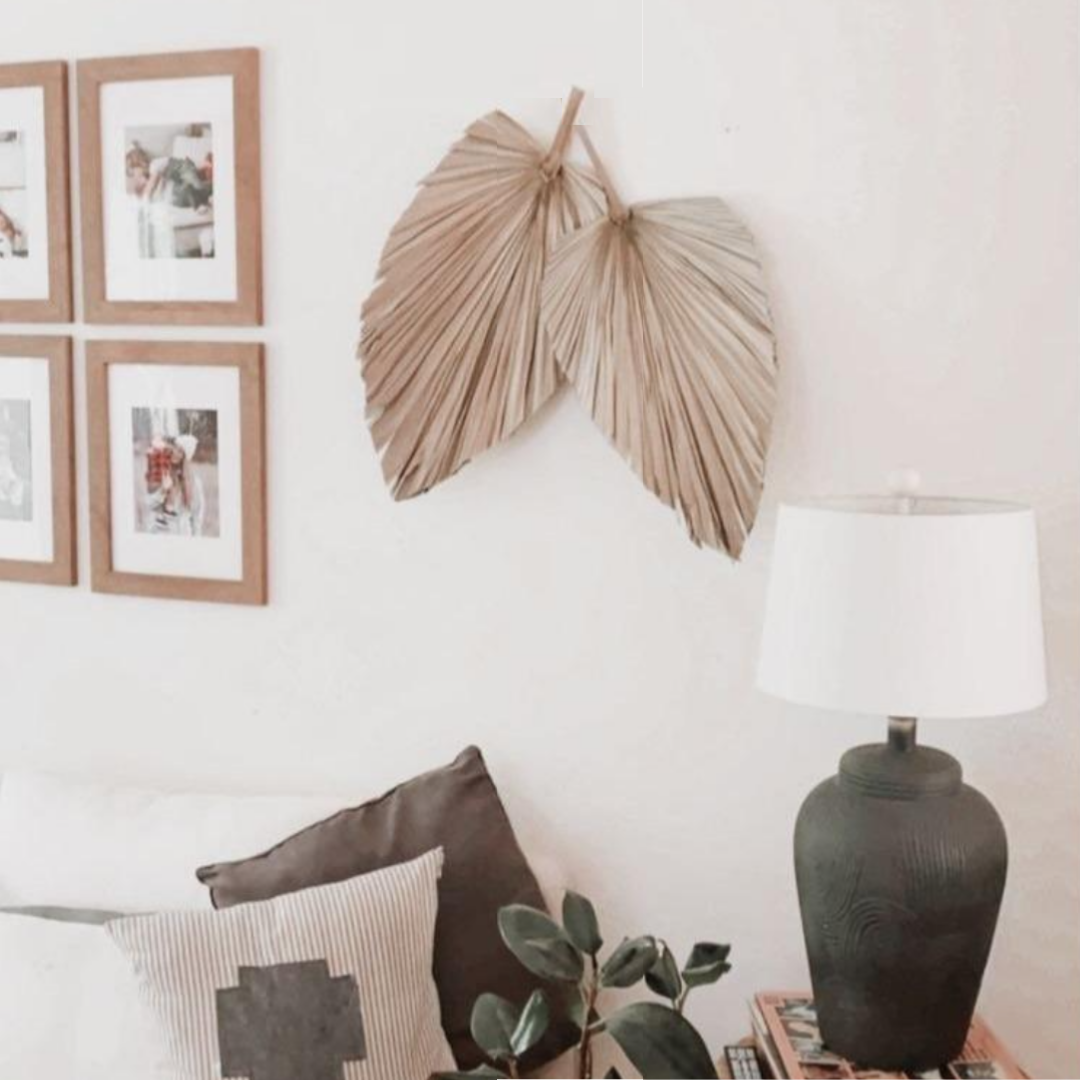 Dried Palm Leaf - Le Botanist