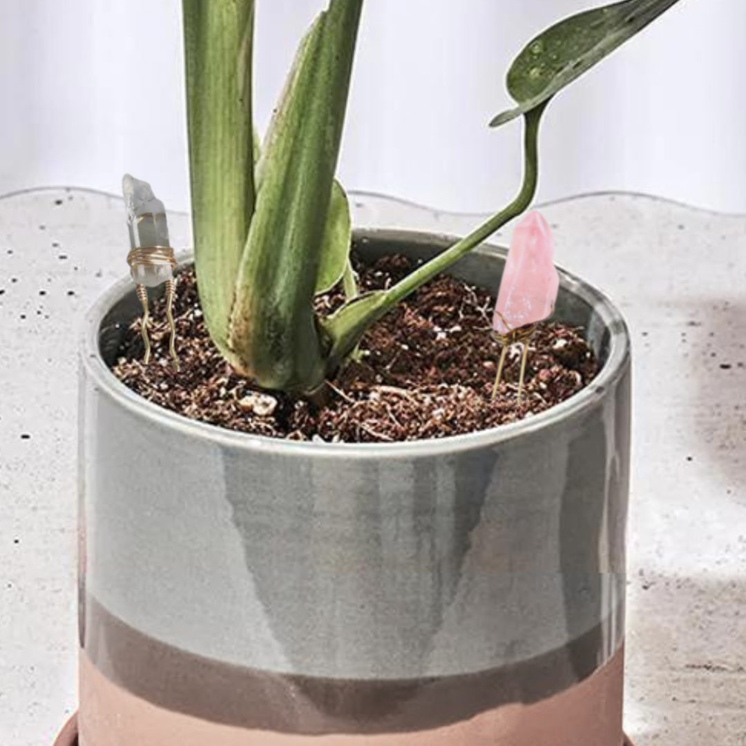 Crystal Houseplant Point