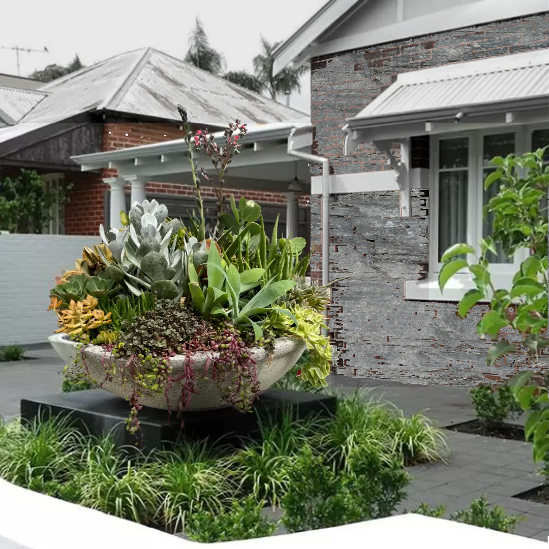 The Statement - Extra Large Succulent Bowl