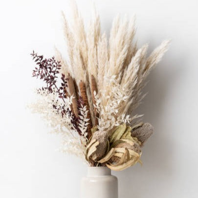 Dried Pampas Grass - Le Botanist