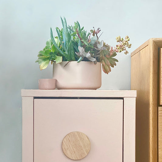 The Flora - Succulent Bowl - Le Botanist