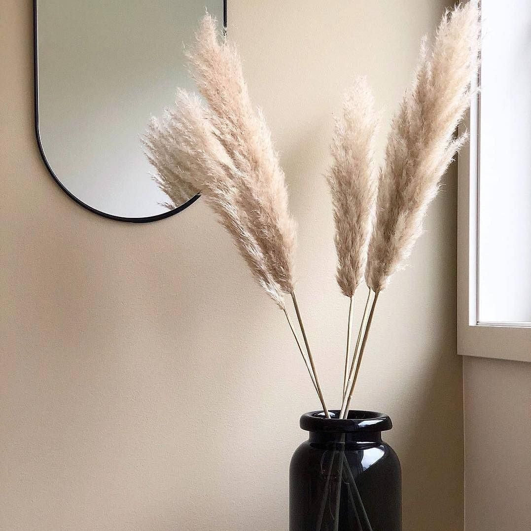 Dried Pampas Grass - Le Botanist