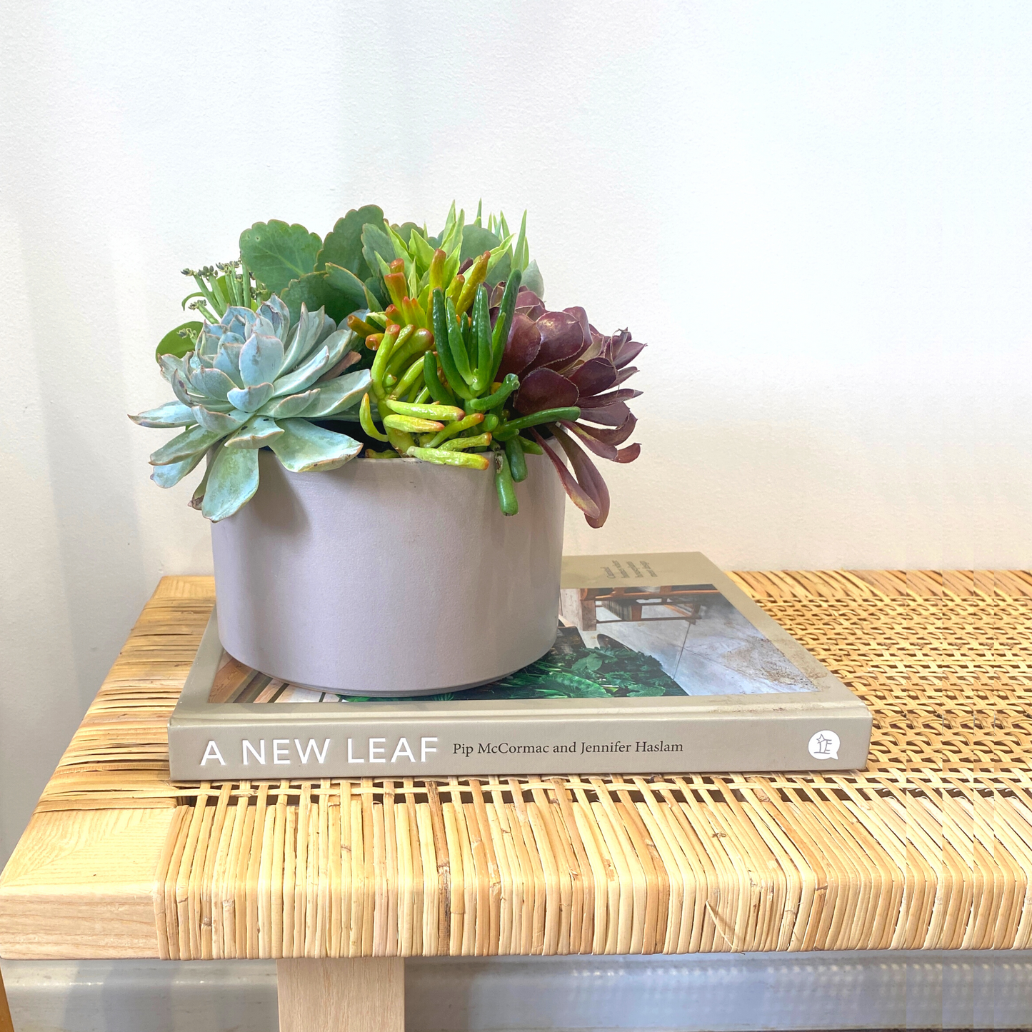 The Bud - Succulent Bowl - Grey (21cm)