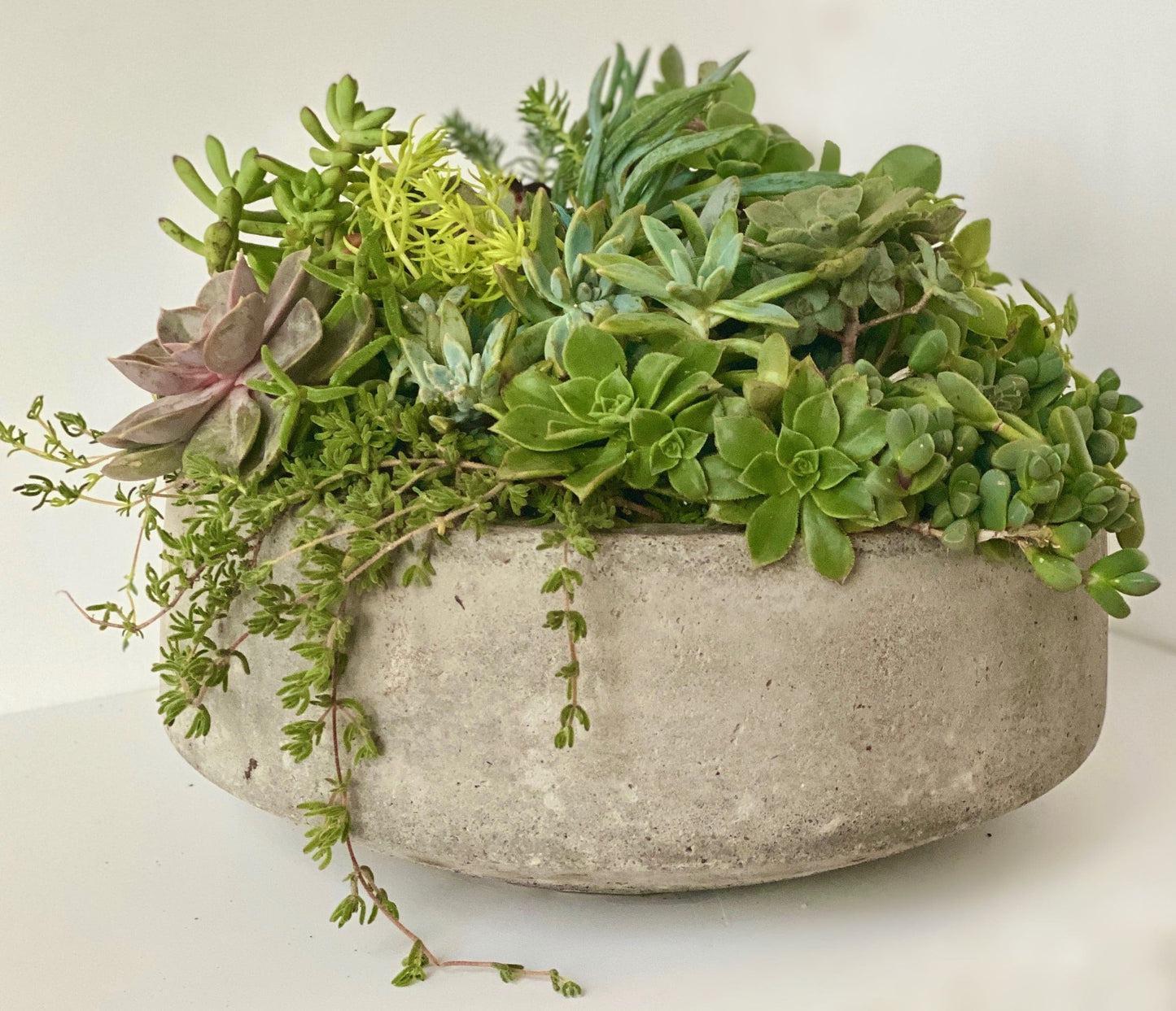 one in a melon - Always Greener