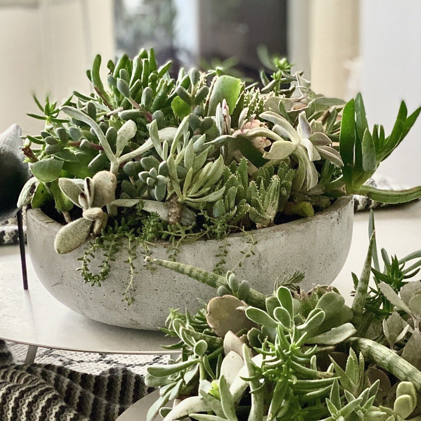 the stone series - Always Greener