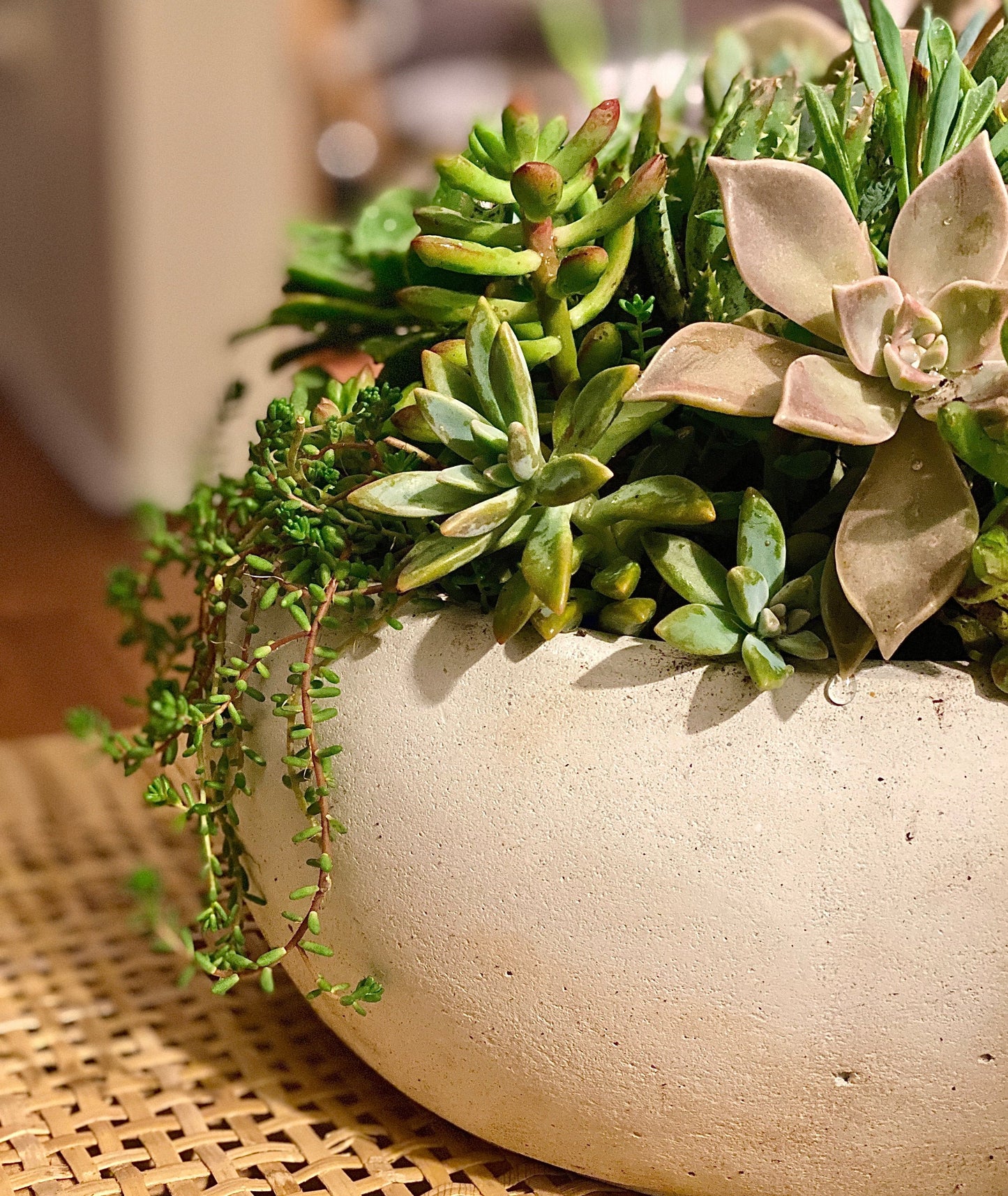 Ain't nobody got thyme for that - Always Greener