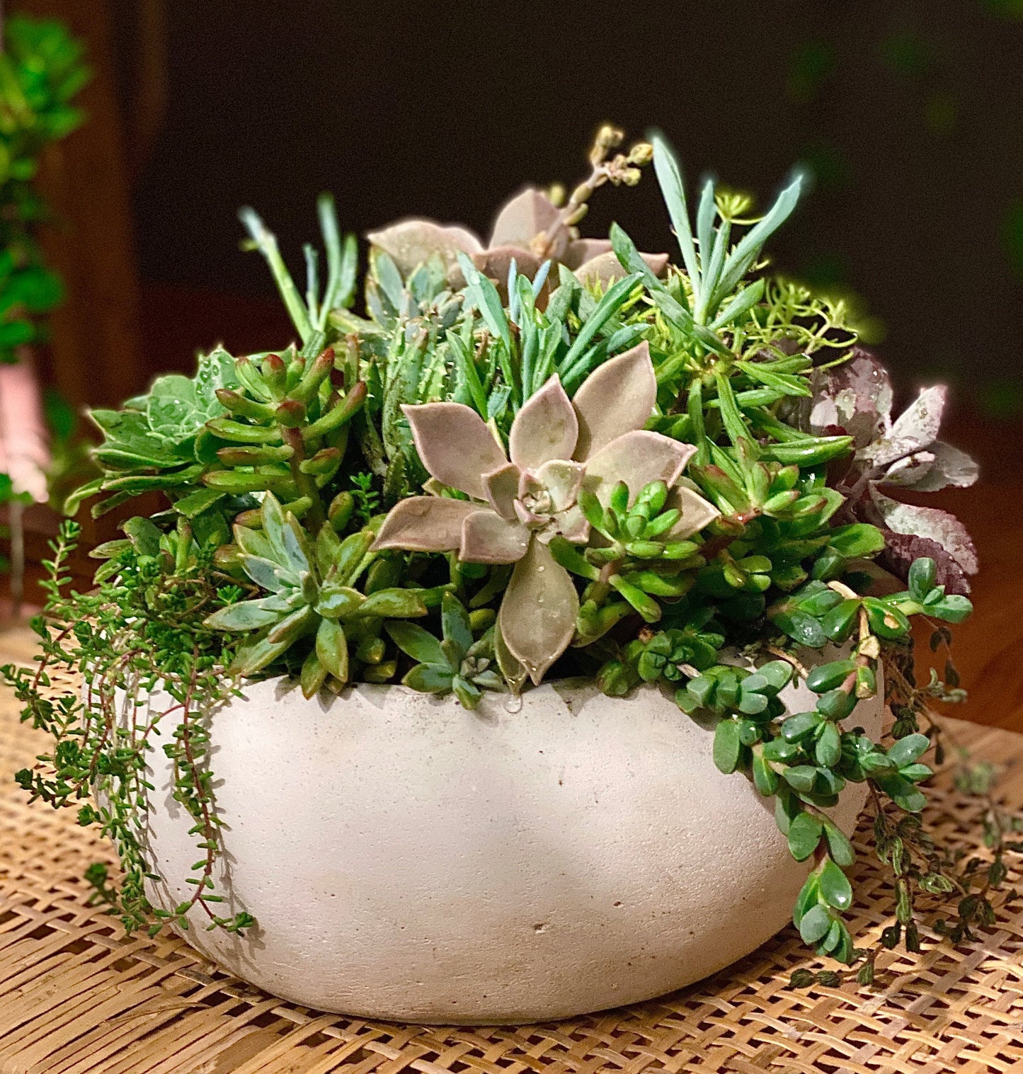 Ain't nobody got thyme for that - Always Greener