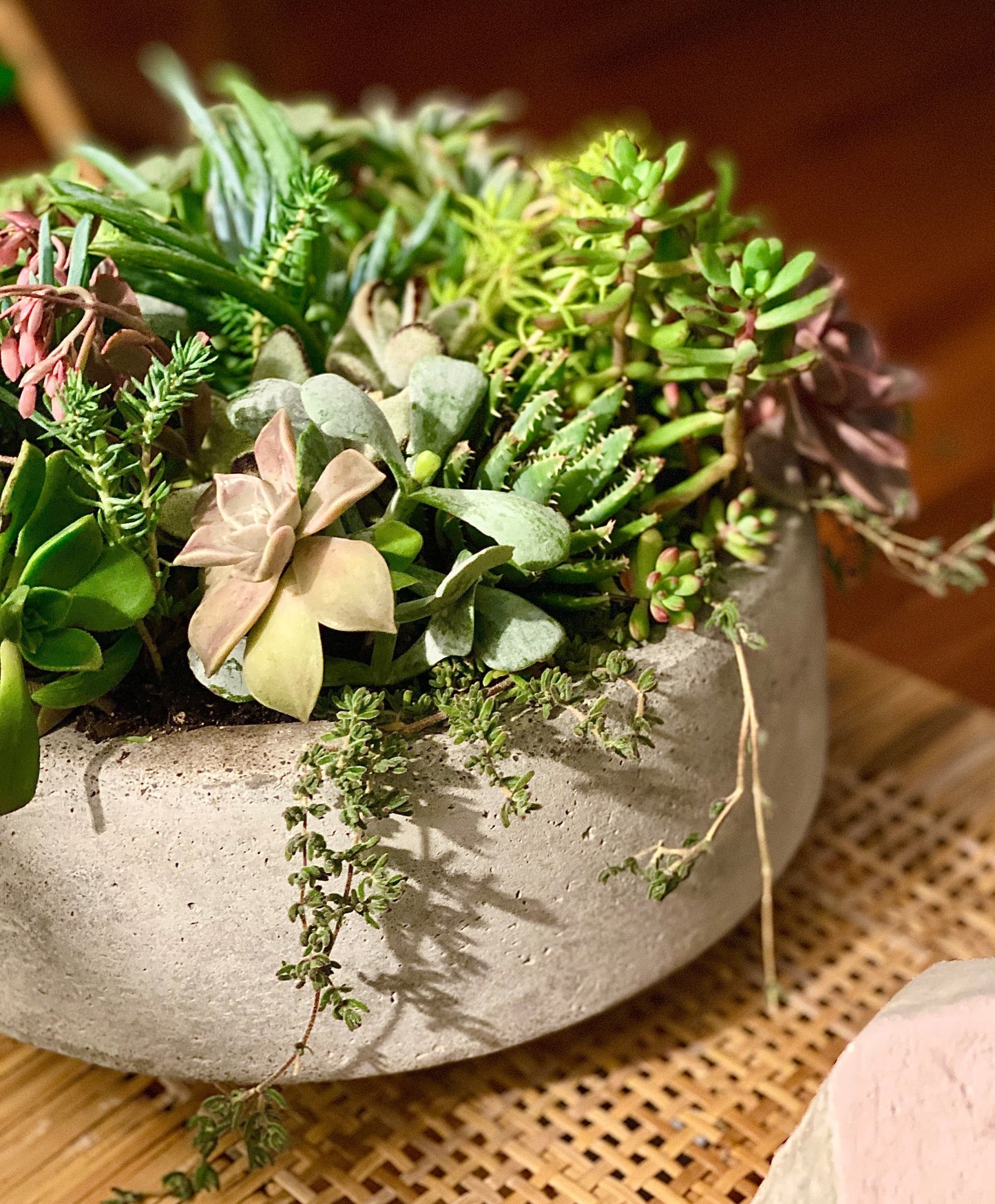 one in a melon - Always Greener