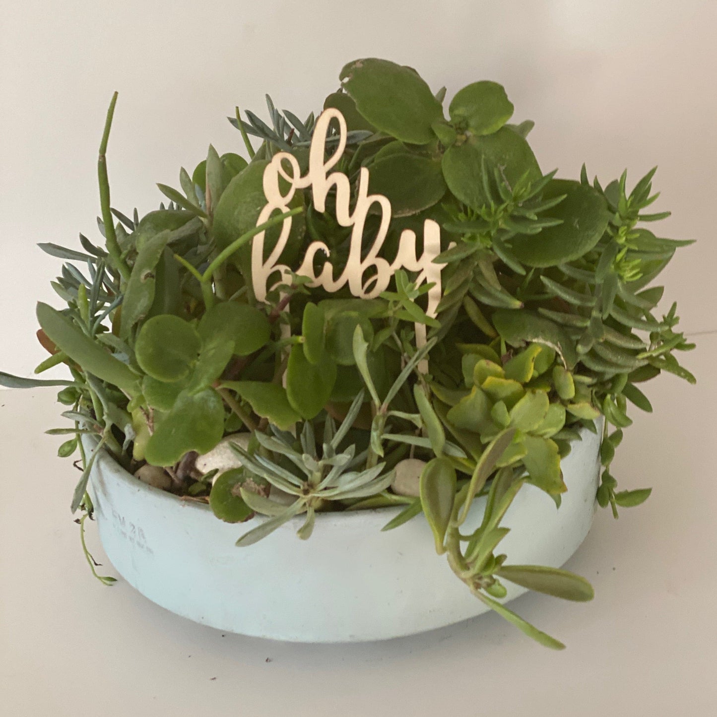 special occasion topper - Always Greener