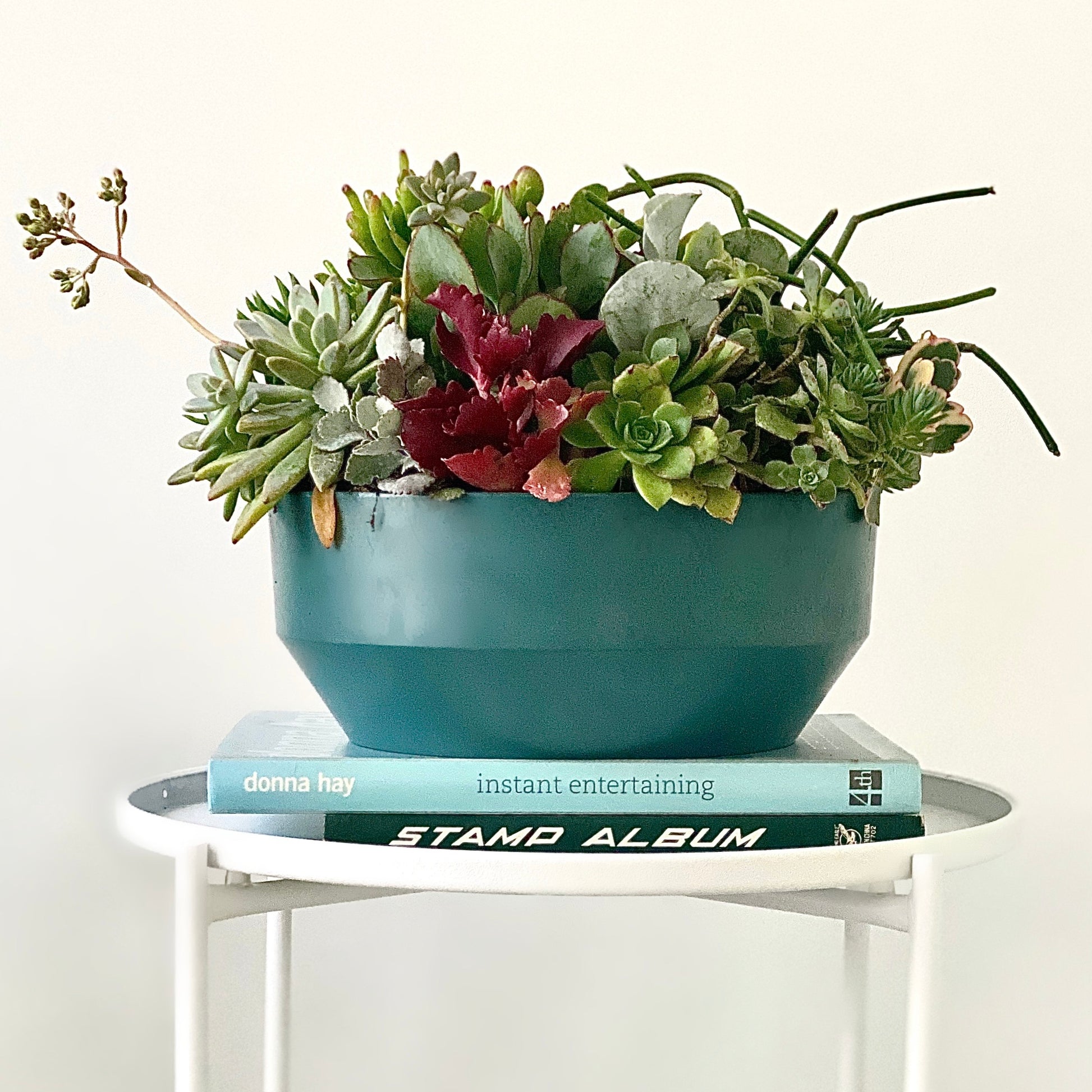 The Bulb - Succulent Bowl - Le Botanist