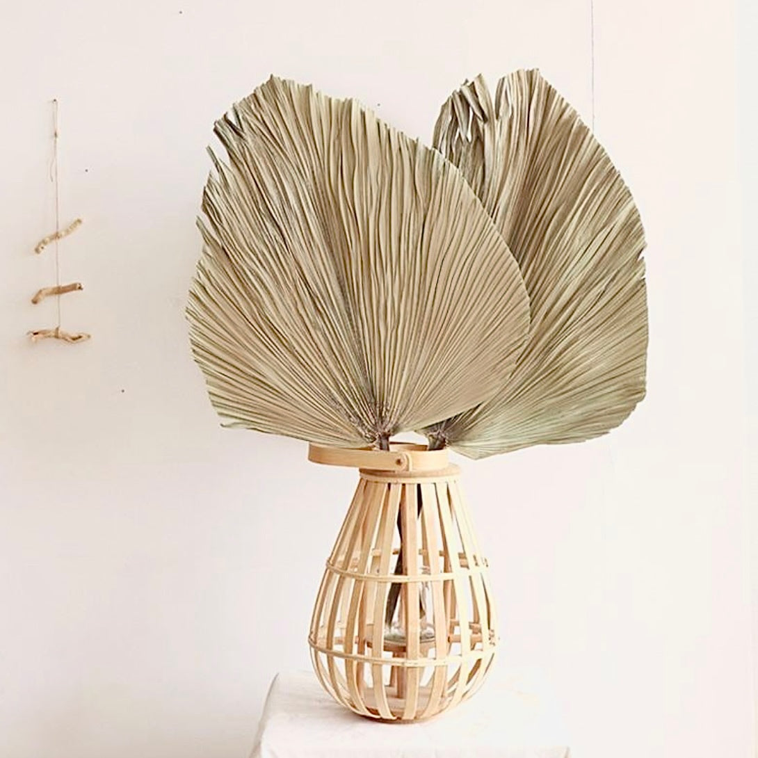 Dried Palm Leaf - Le Botanist