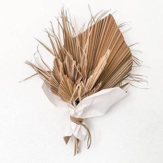 Dried Palm Leaf - Le Botanist