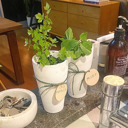 Grow Your Own Greenery - Gift Pack - Le Botanist