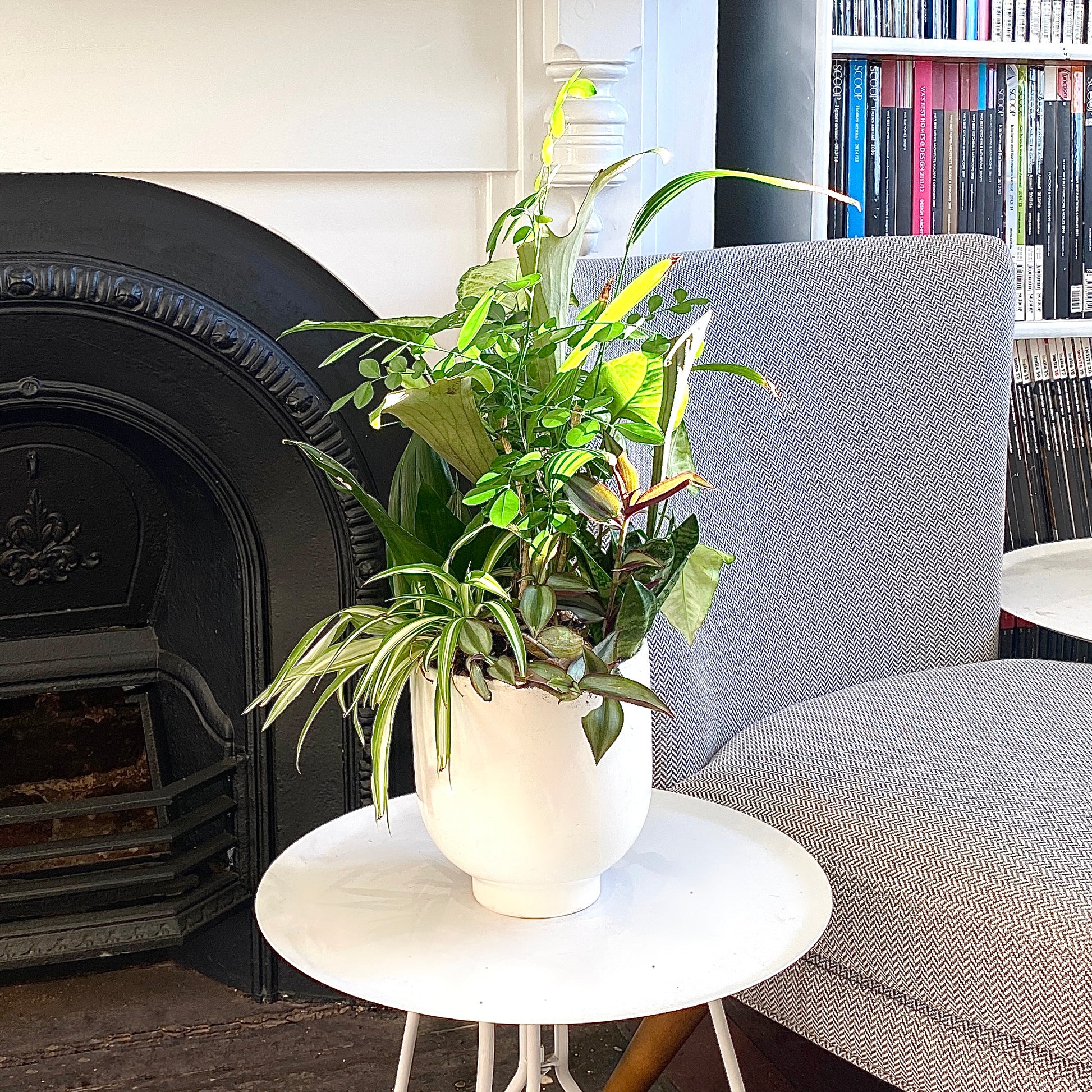 The Cluster - Indoor Greenery Arrangement - Le Botanist