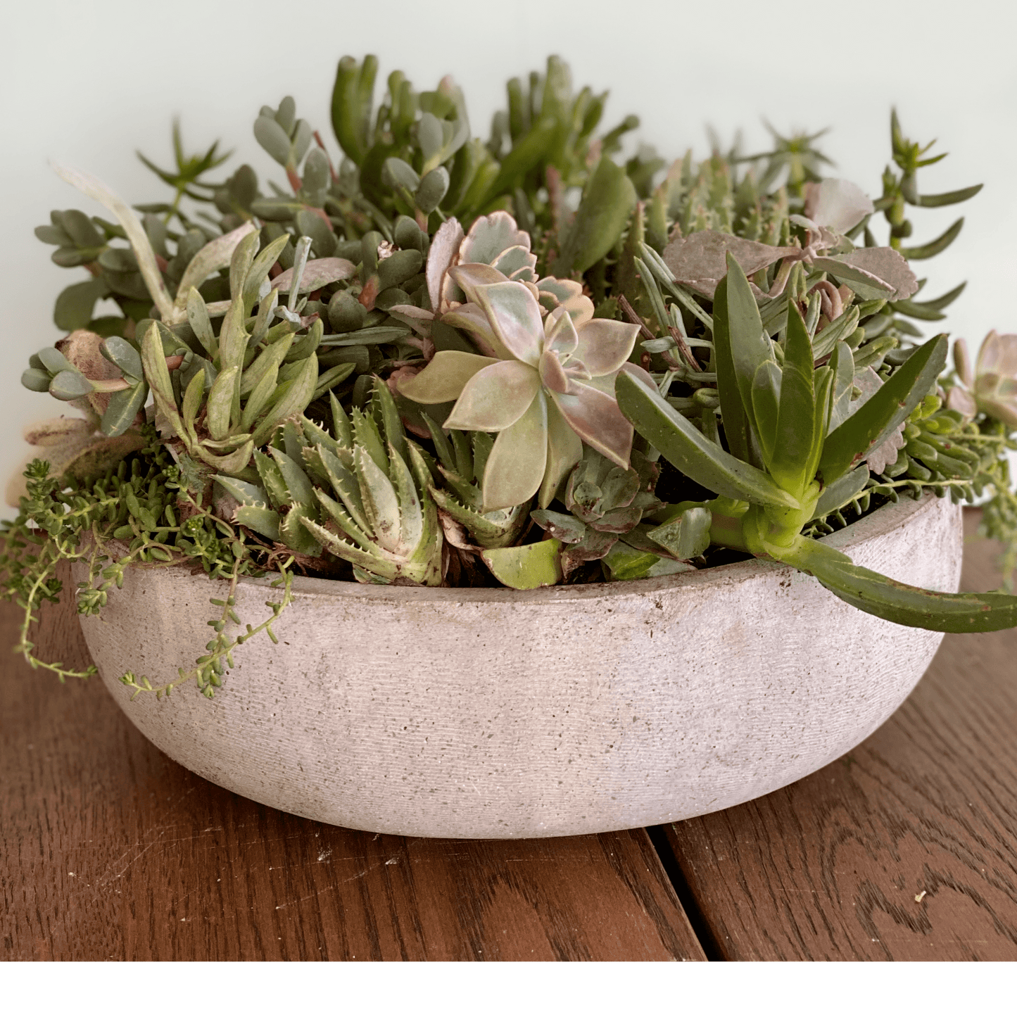 the stone series - Always Greener